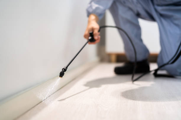 Licensed Pest Control service in Williamsville, NY - Show Me Pest Control
